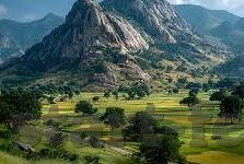 乐鱼体育leyu下载-乐鱼体育，开启智能体育新纪元